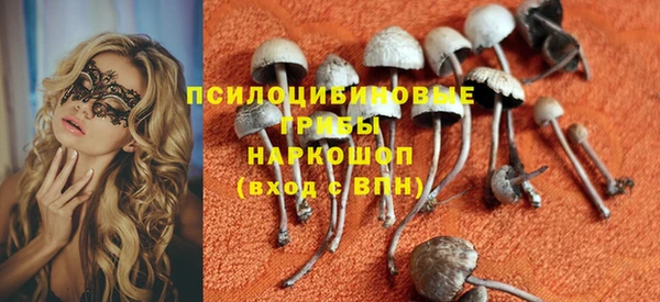 ешки Алексеевка