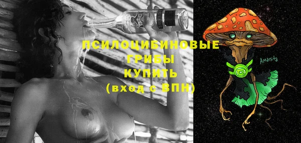 ешки Алексеевка