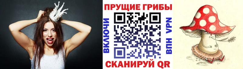 что такое наркотик  Мещовск  Галлюциногенные грибы прущие грибы 