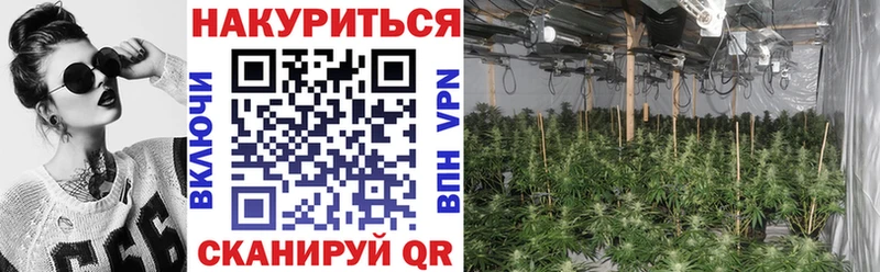 где найти   Мещовск  Бошки Шишки марихуана 